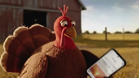 Beat 4: Turkey close-up