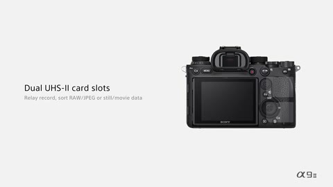 Beat 17: Dual card slots