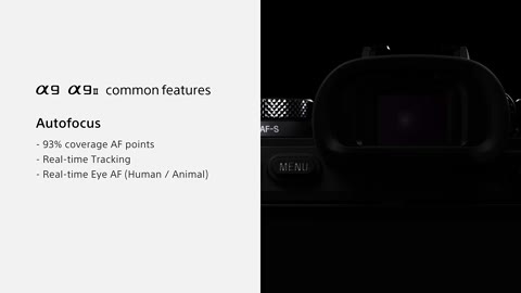 Beat 23: Common: Autofocus