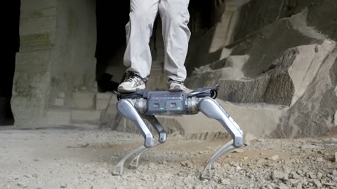 Beat 10: Standing on its back