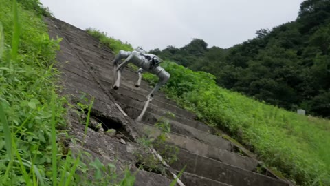 Beat 13: Grass dam slope
