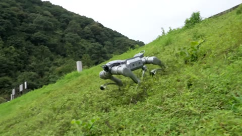 Beat 15: Steep grass