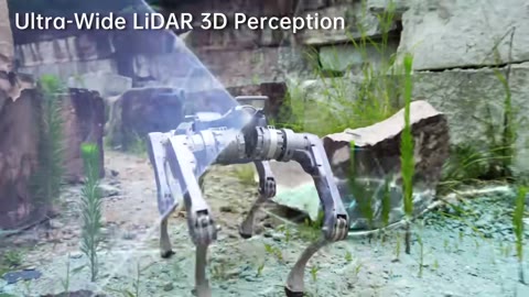 Beat 16: LiDAR perception