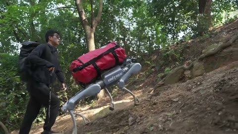 Beat 18: Hiking companion