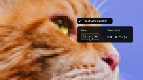 Beat 9: Pick Gigapixel