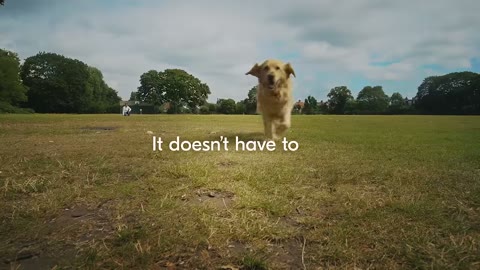 Beat 8: Dog charges