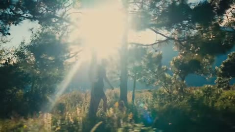 Beat 3: Trail and forest