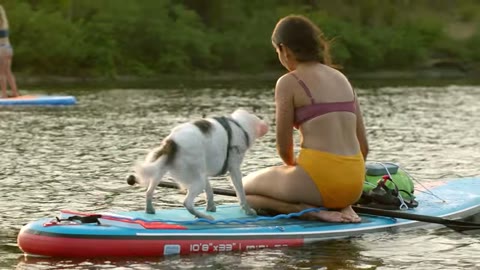 Beat 13: Paddling with the dog