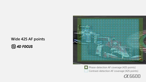 Beat 13: 425 AF points