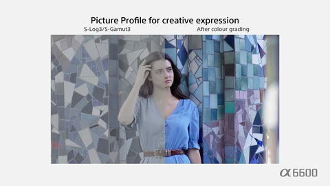 Beat 26: Picture Profile