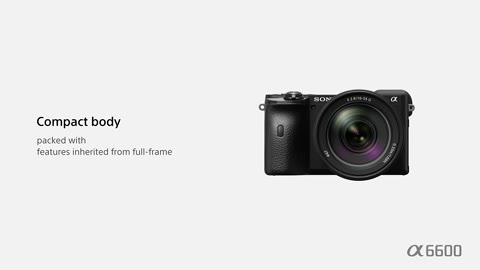 Beat 37: Compact body