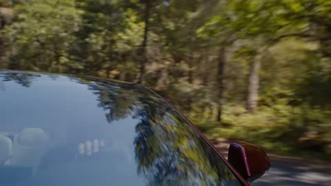 Beat 6: Driver in profile