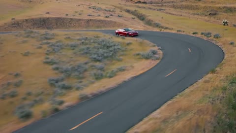 Beat 9: Wheel on forest road