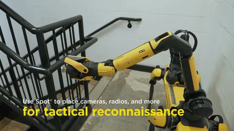 Beat 15: Tactical reconnaissance