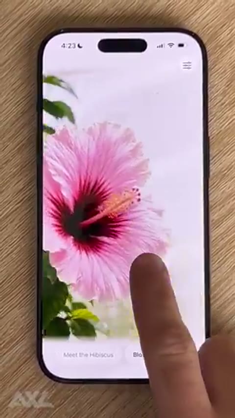 Beat 8: Flower pages