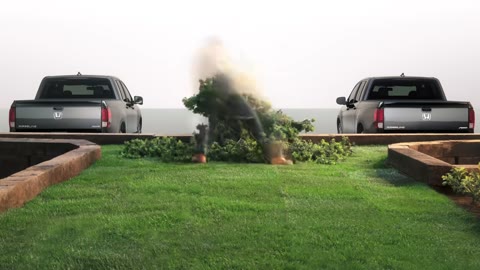 Beat 17: Topiary