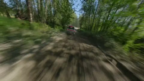 Beat 18: Forest drive