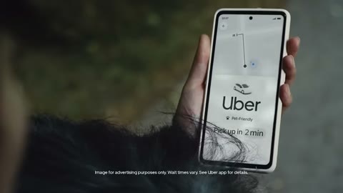 Beat 5: Pet-friendly ride