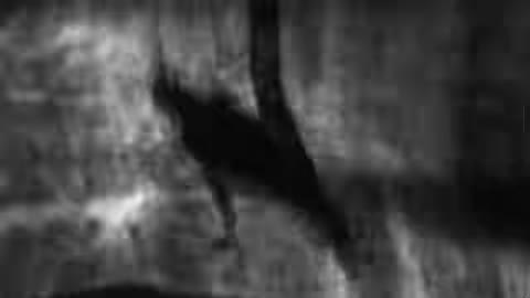 Beat 3: Grainy dance