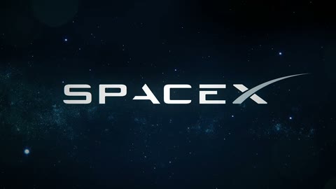 Beat 20: SpaceX logo