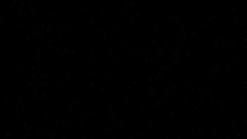 Beat 11: Black