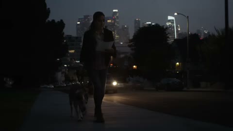 Beat 17: Dog walk