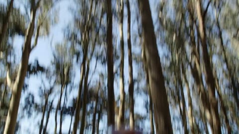 Beat 25: Walk and spin