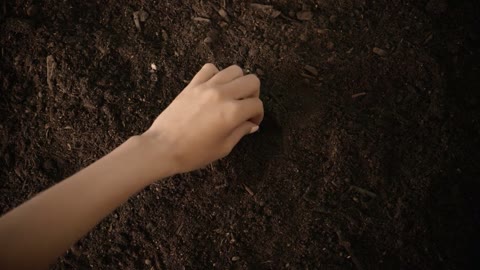 Beat 1: Planting