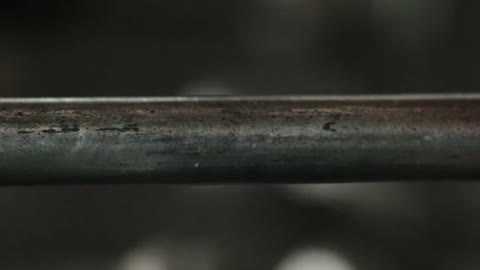 Beat 10: Budding cells