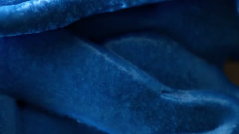 Beat 14: Blue plastic forms