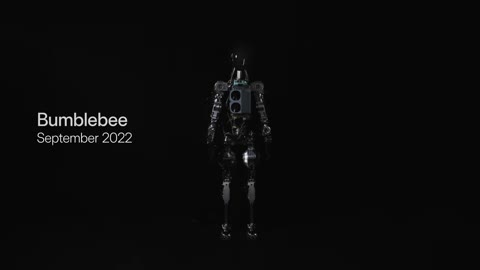 Beat 1: Bumblebee