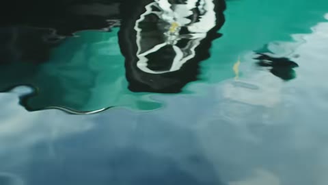 Beat 10: Nose in ripples