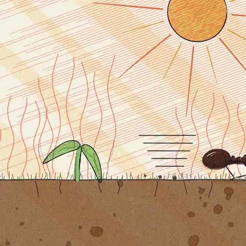 Beat 6: Root and shoot