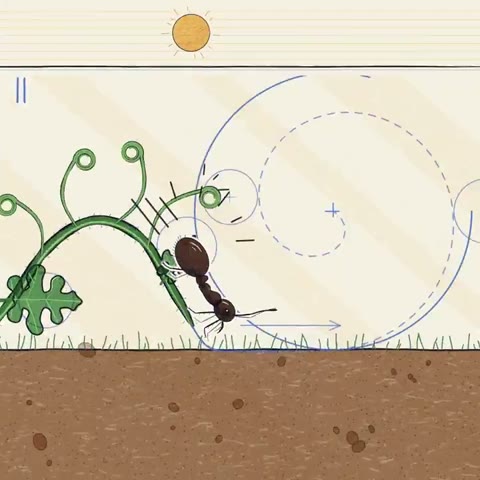 Beat 7: Sprout meets ant