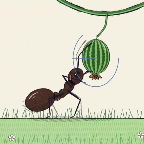 Beat 9: Watering