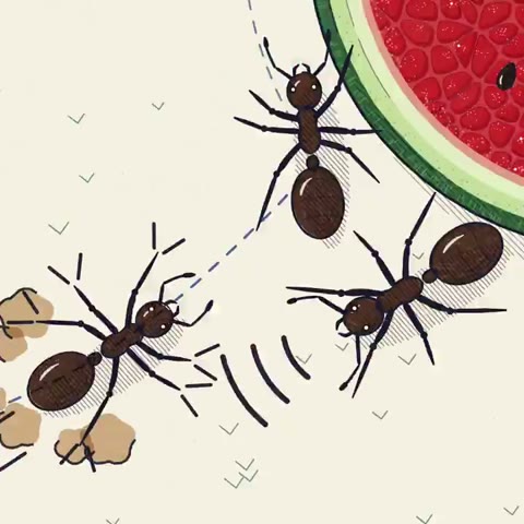 Beat 18: First taste