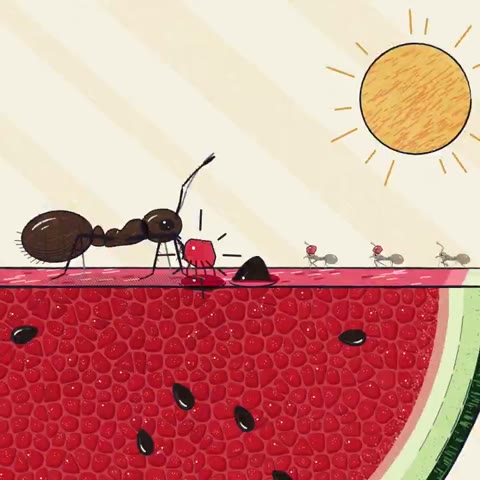 Beat 19: Colony arrives