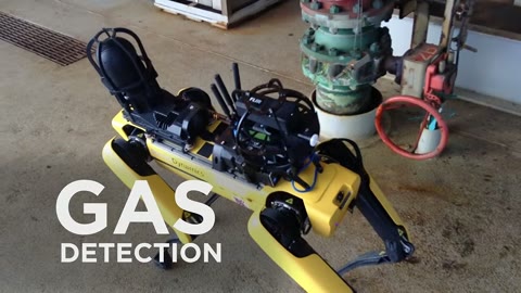 Beat 19: Thermal Inspection
