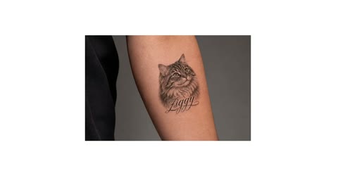 Beat 9: Tattoo prompt