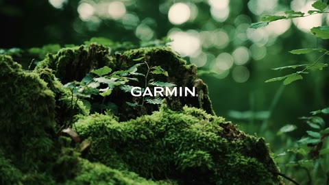 Beat 1: Moss and logo