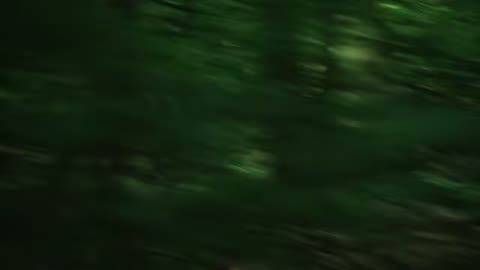 Beat 8: Distant runner