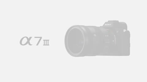 Beat 31: Easy viewing and control
