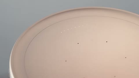 Beat 3: Top surface