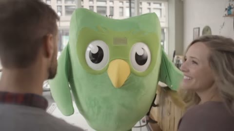 Beat 17: Owl at the bar