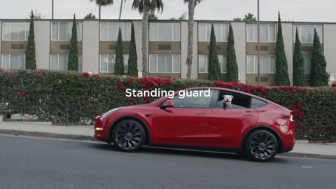 Beat 2: Standing guard