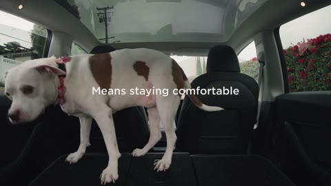 Beat 3: Comfortable inside