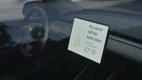 Beat 8: Owner will be back soon