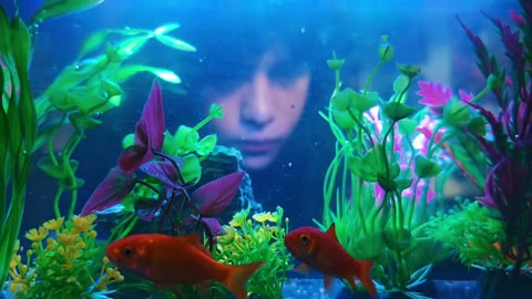 Beat 4: Fish tank