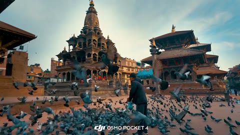 Beat 4: Pigeon square