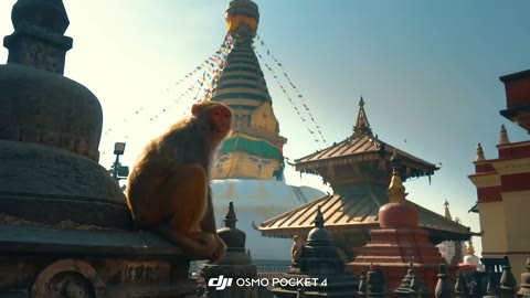 Beat 5: Monkey at the stupa